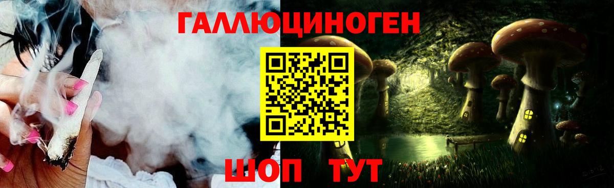 Лесосибирск  Псилоцибиновые грибы Psilocybe  Вход с VPN 